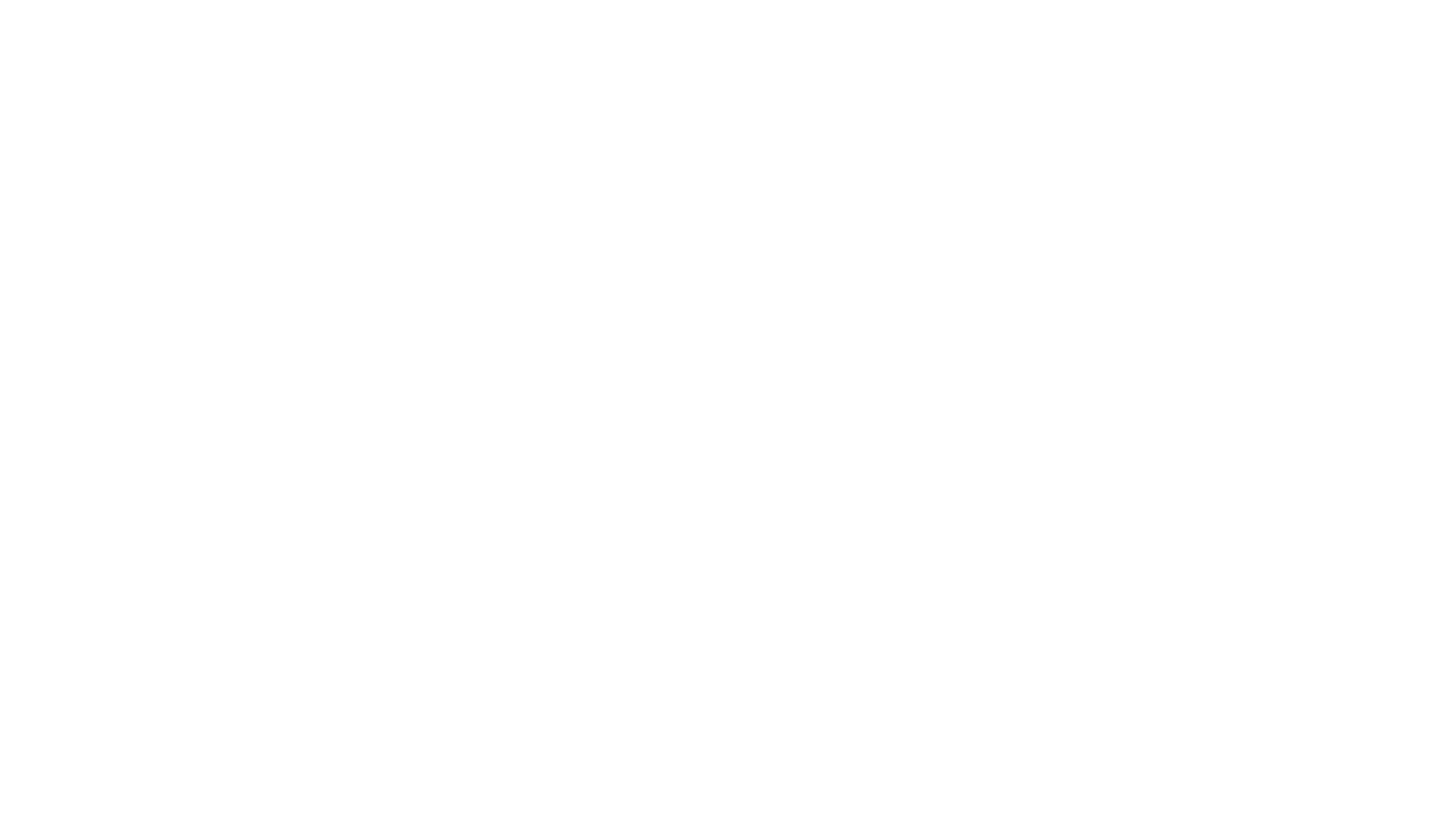 BSV Logo